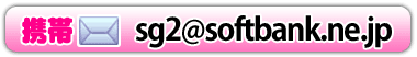 sg2@softbank.ne.jp